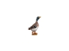 Ente Nr. 274, 10cm € 10,--